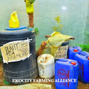 Organic Foliar fertilizer