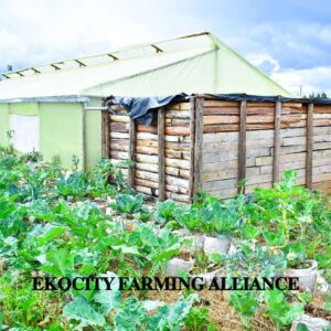 vegetables and water Tank